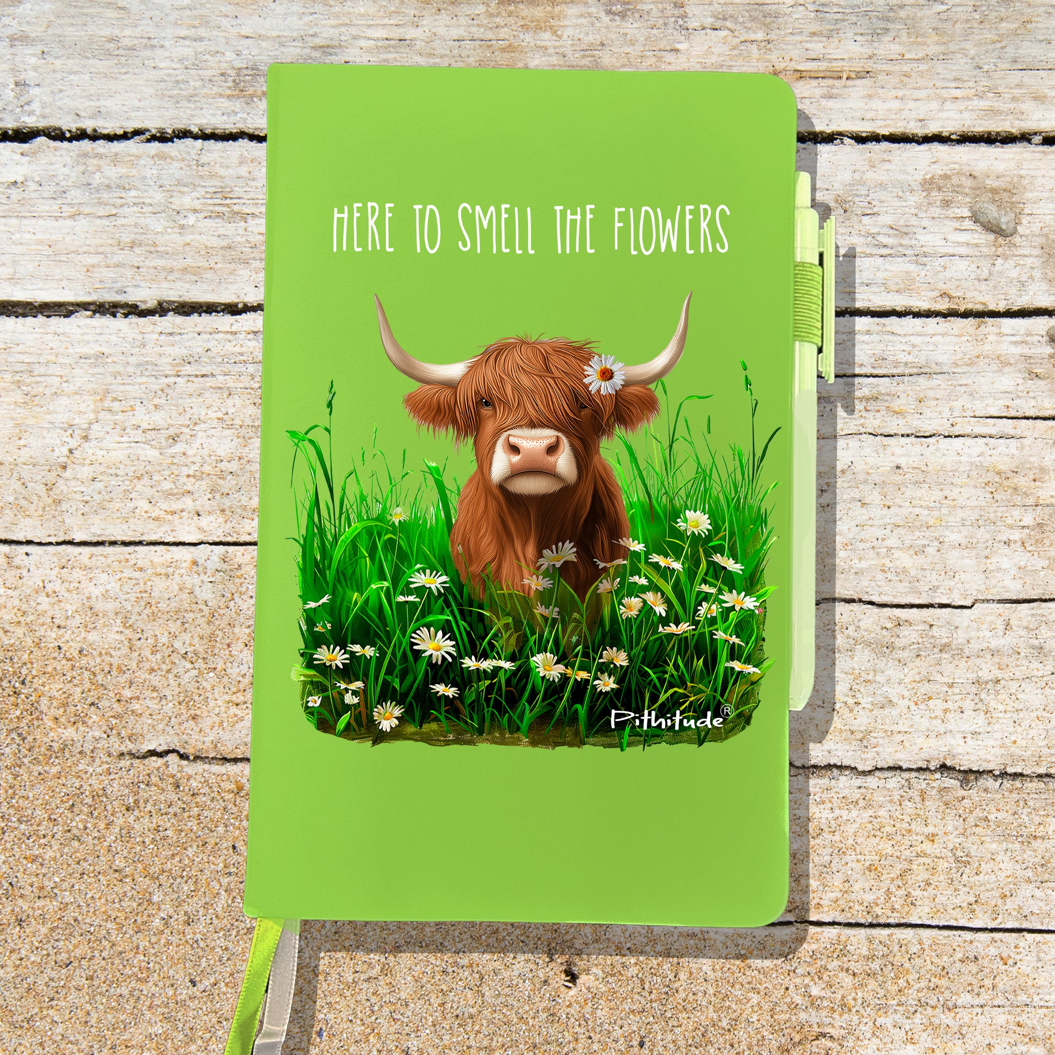 Highland Cow Blank Lined Journal Notebook