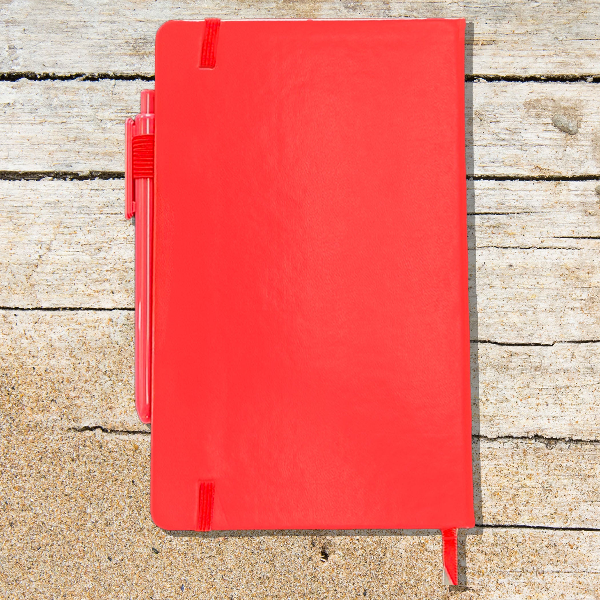 Reading Raccoon Blank Lined Journal Notebook