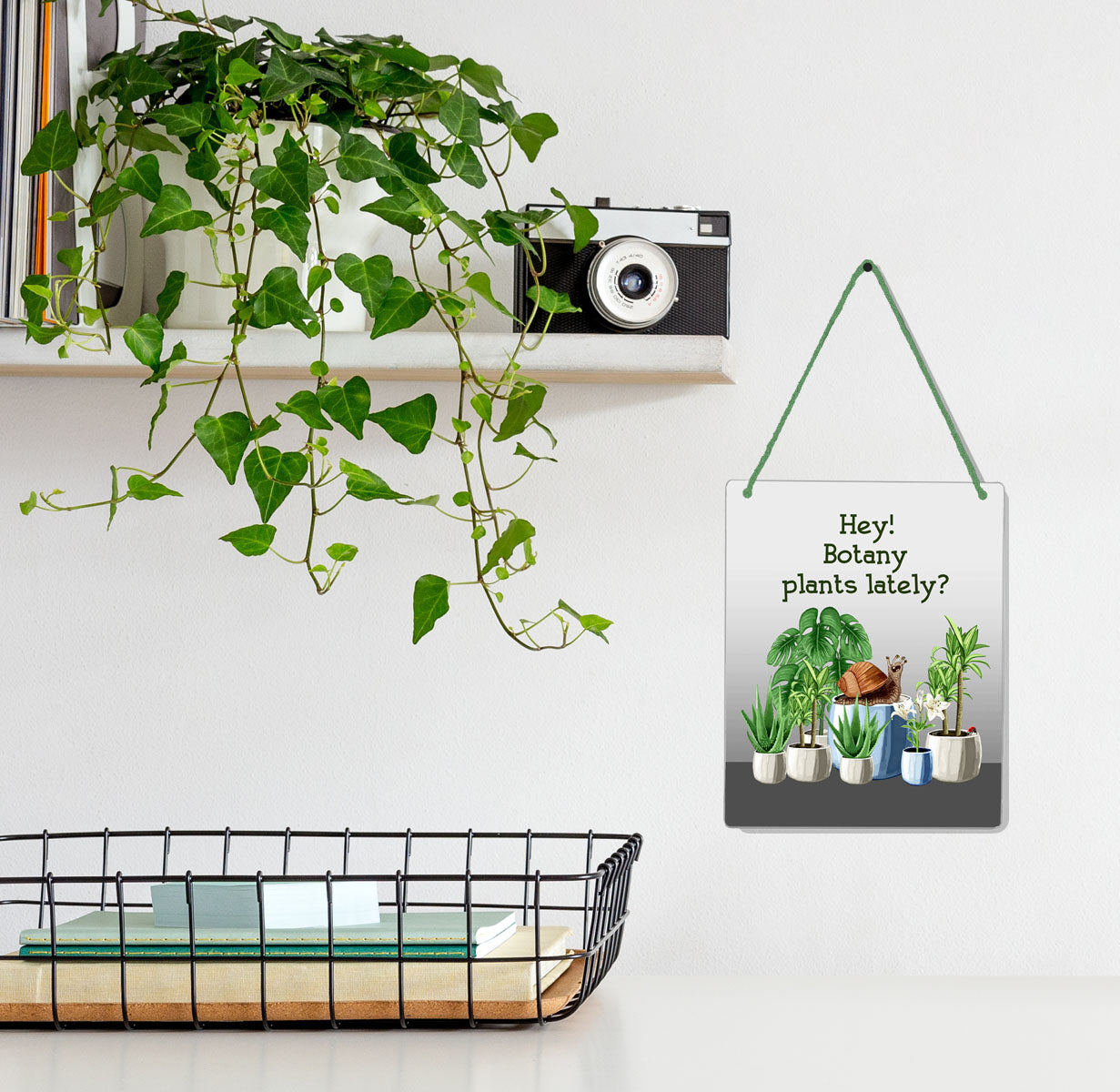 Botany Plants 4x5