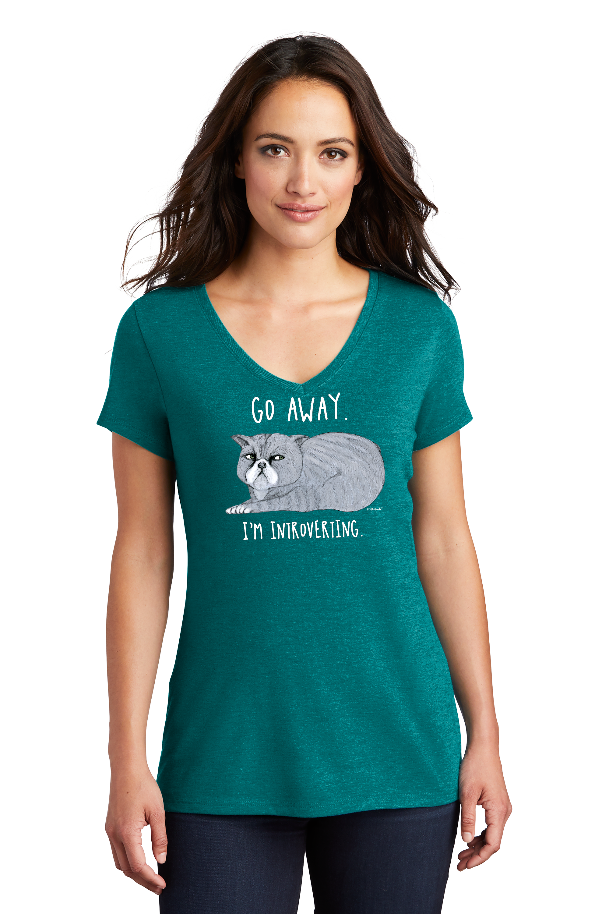 Introvert Cat Womens Short Sleeve Teal V-neck T-Shirt