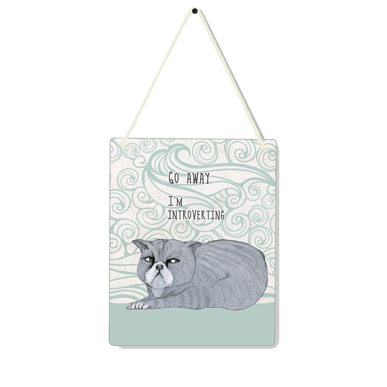 Introverting Cat 4x5