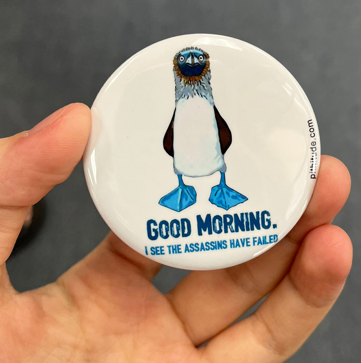 Funny blue-footed booby magnet held in hand to show 2.25-inch size and glossy finish