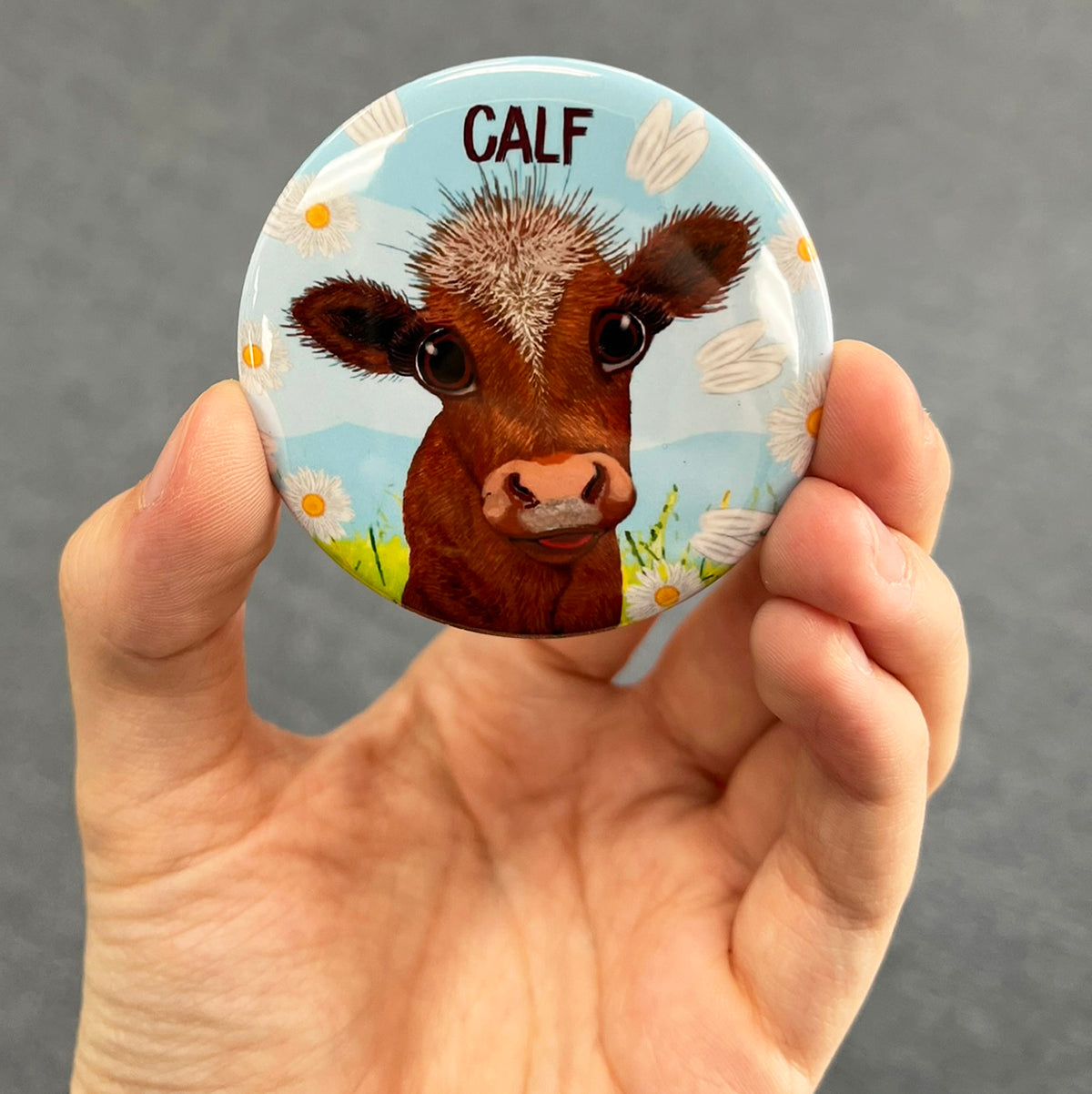 Funny coffee cow magnet held in hand to show 2.25-inch size and glossy finish