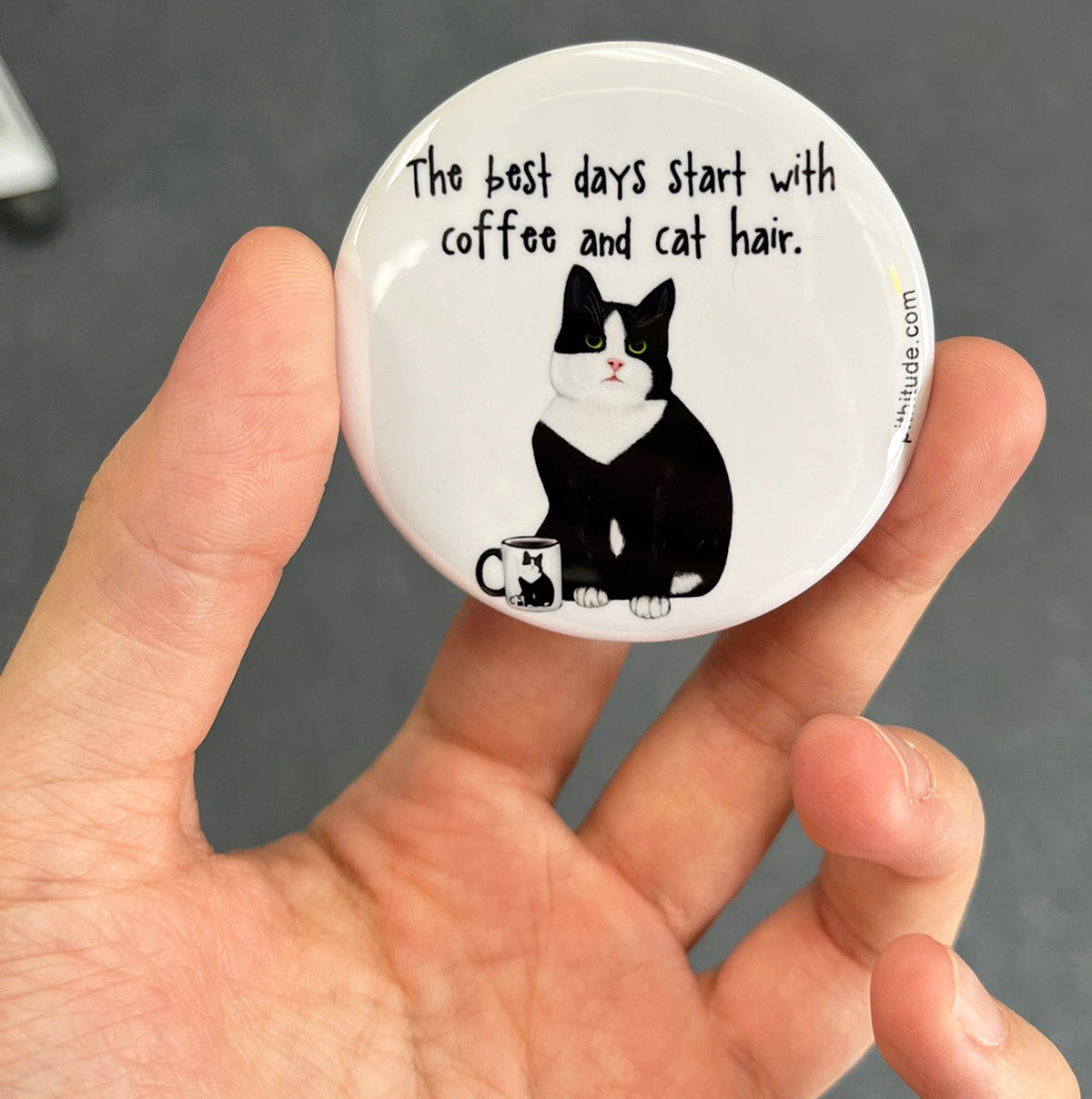 Funny cat lover magnet held in hand to show 2.25-inch size and glossy finish