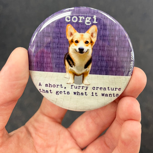 Funny corgi magnet held in hand to show 2.25-inch size and glossy finish
