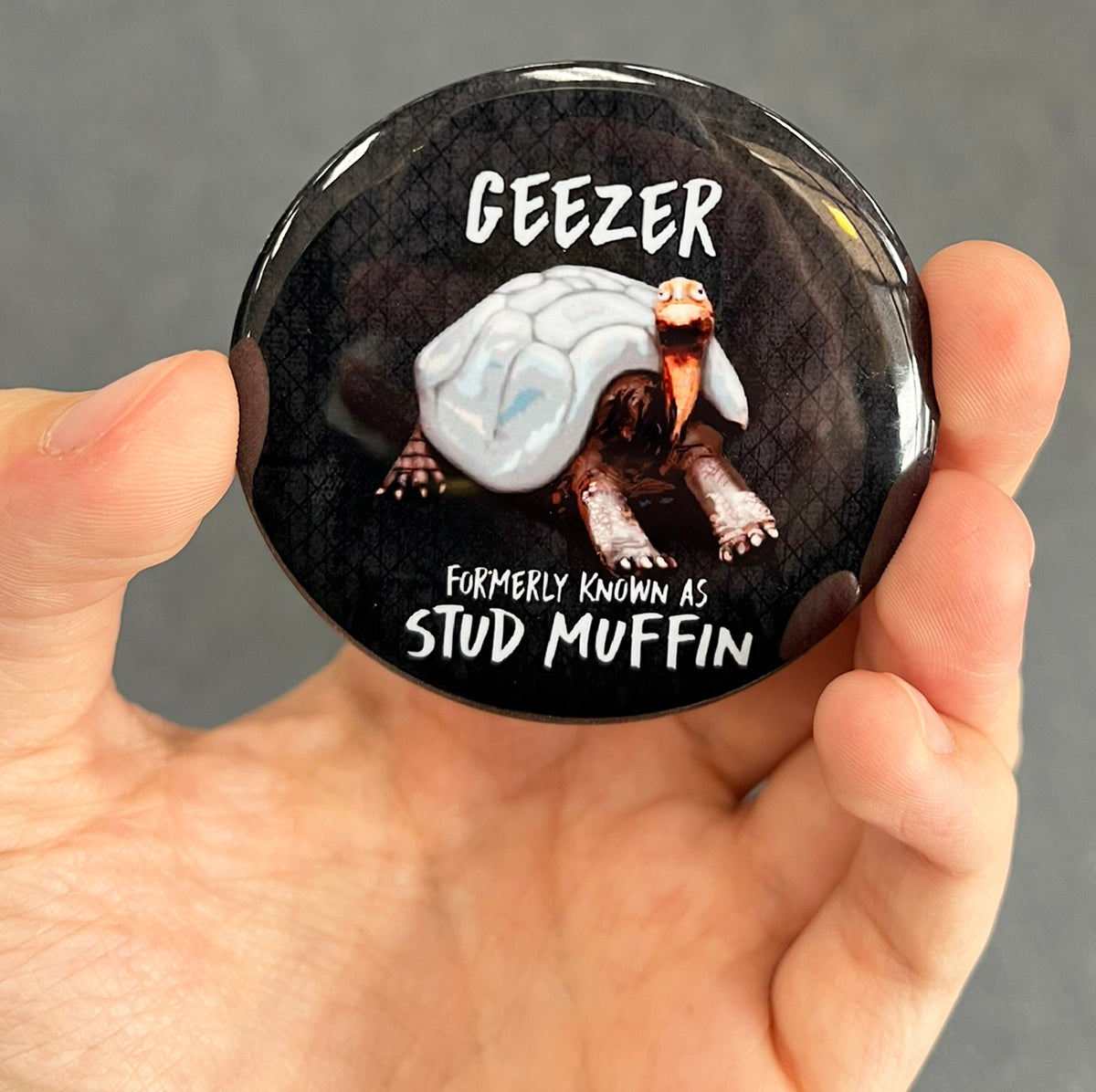 Funny tortoise magnet held in hand to show 2.25-inch size and glossy finish