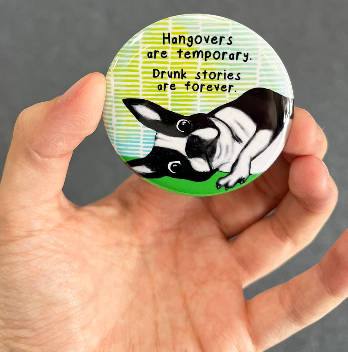 Funny Boston Terrier magnet held in hand to show 2.25-inch size and glossy finish