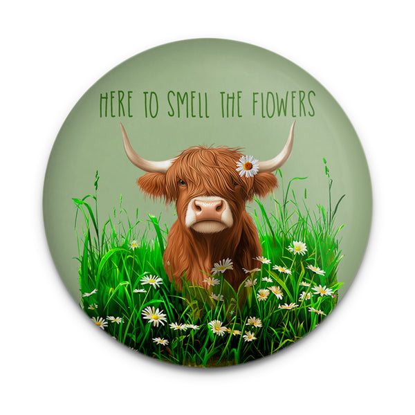 Highland Cow Daisies Magnet