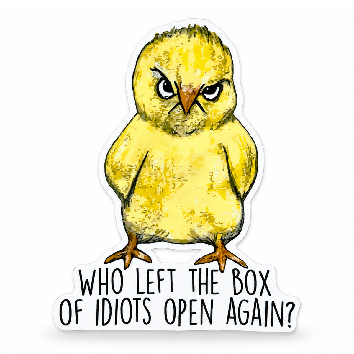 Box of Idiots Reusable Fabric Laptop or Wall Sticker