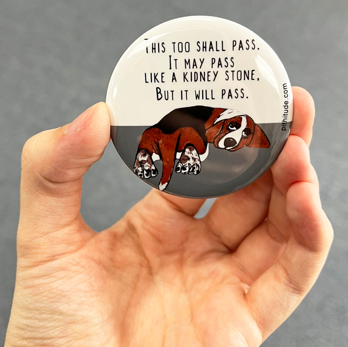 Funny Basset Hound magnet held in hand to show 2.25-inch size and glossy finish