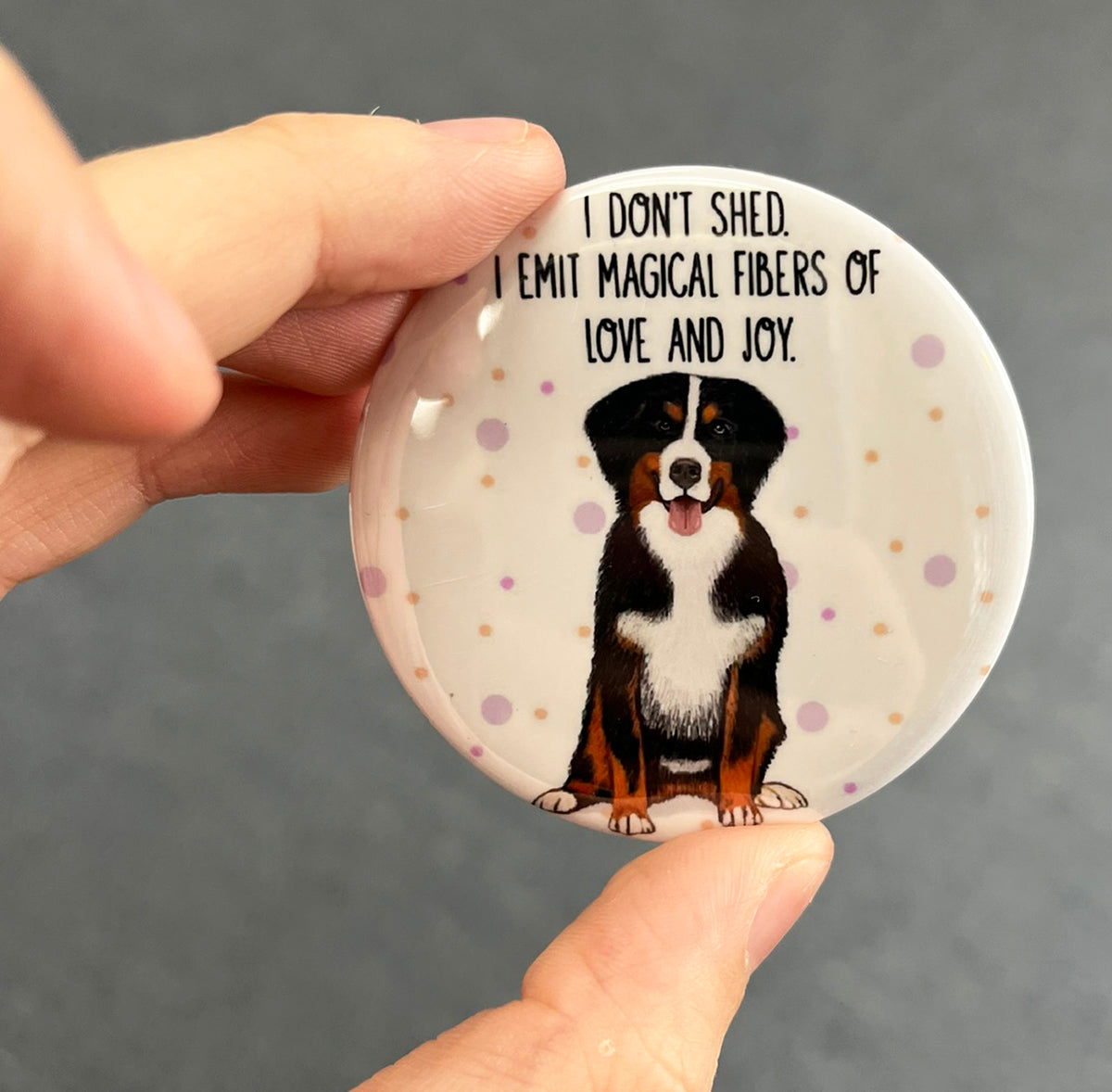 Funny Bernese dog magnet held in hand to show 2.25-inch size and glossy finish