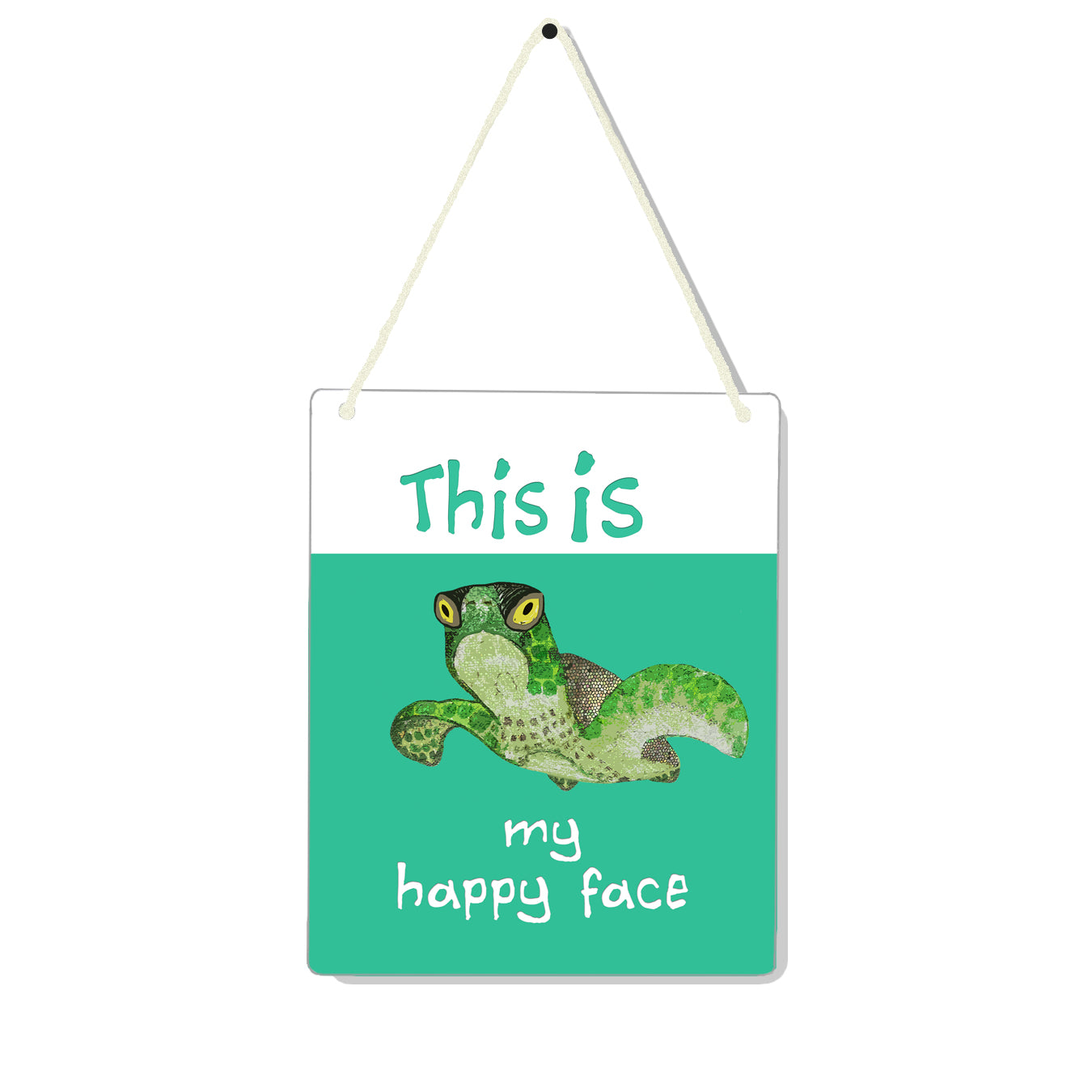 Happy Face Turtle 4x5