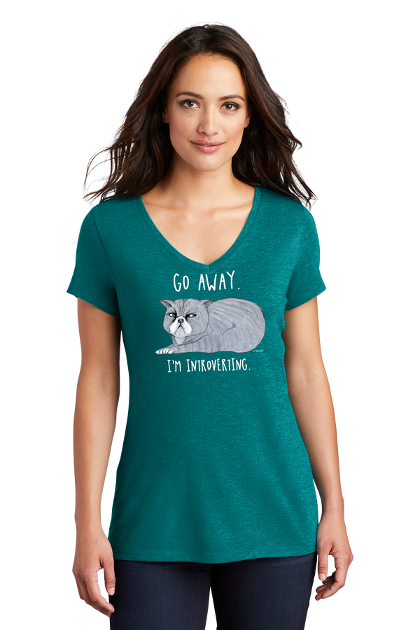 Introvert Cat Womens Short Sleeve Teal V-neck T-Shirt