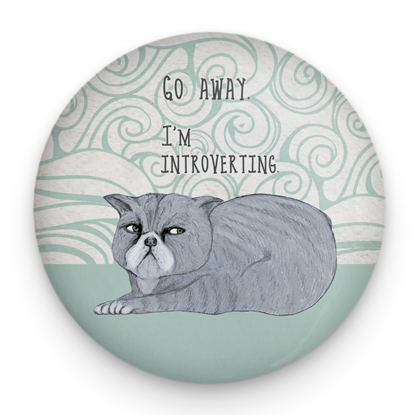 Introverting Cat Magnet