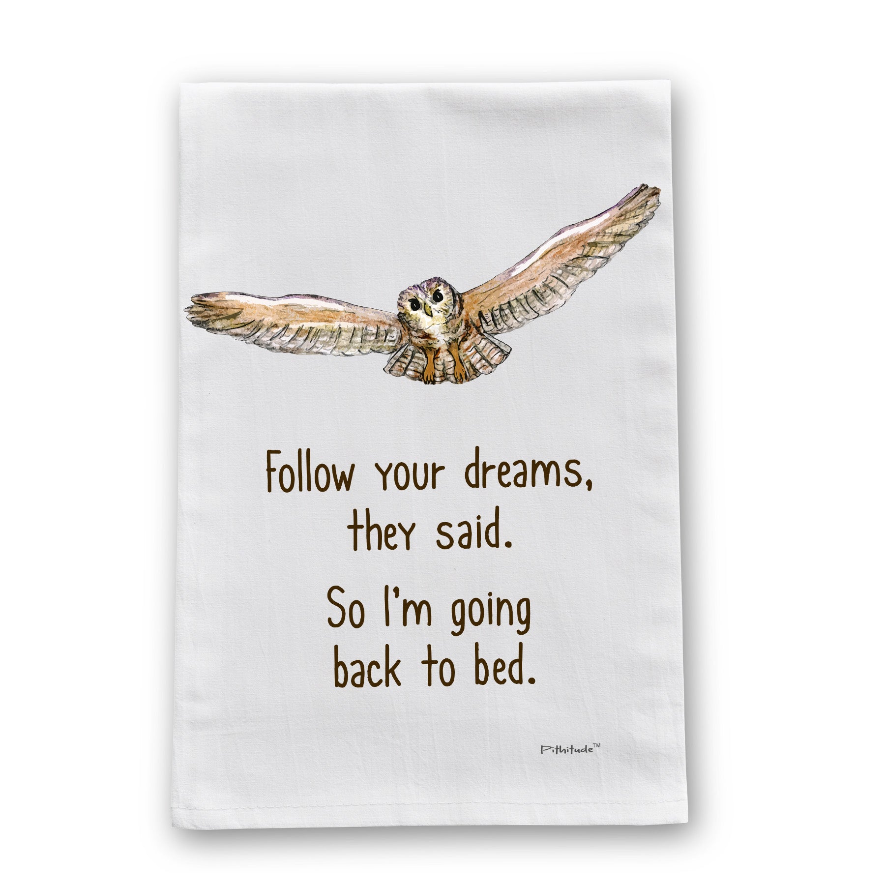 Owl Dreams Flour Sack Dish Towel